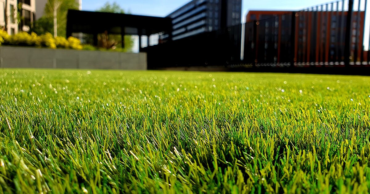 Lush green lawn