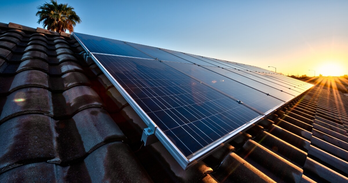 Solar panels on roof with palm tree and sun