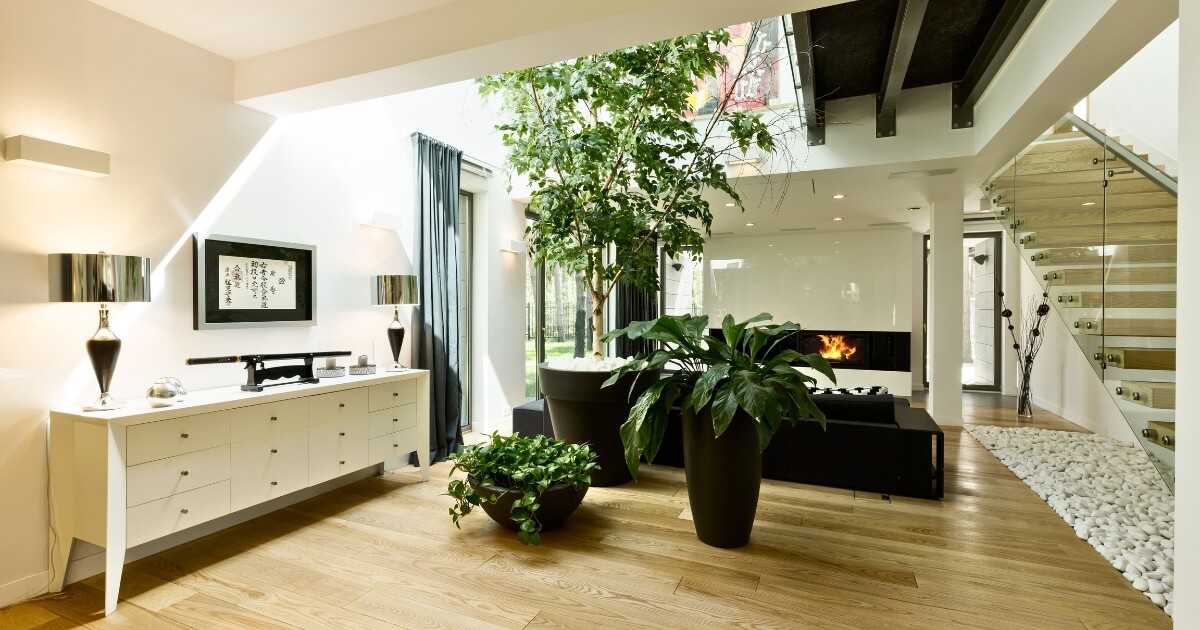 Natural light from skylight in living room with stairs and plants